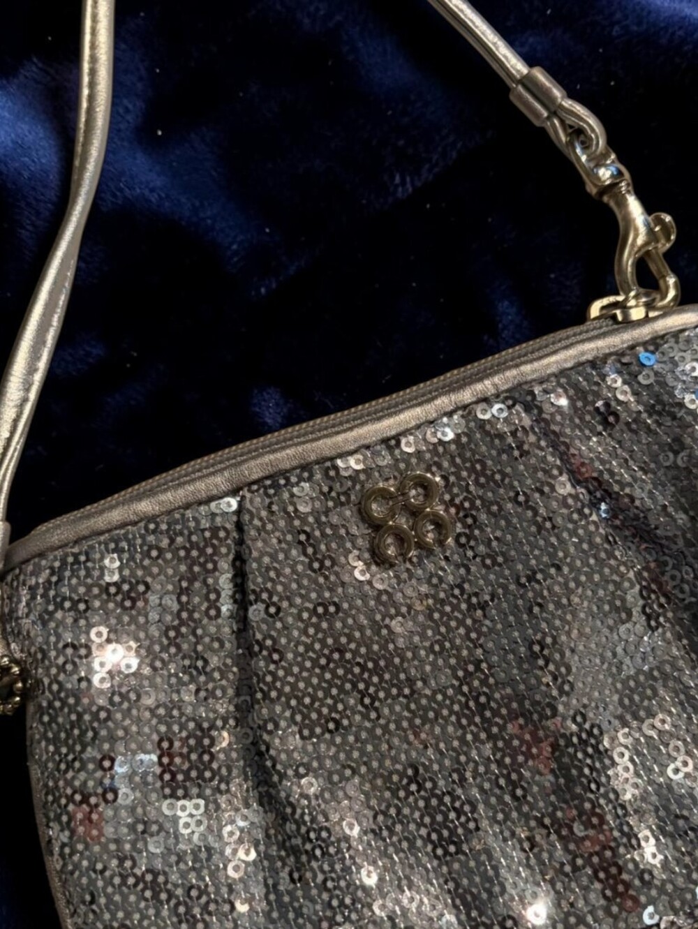 Coach Bling Bundle, Coach Madison Sequin Wristlet, Necklace, Earrings & Barrette